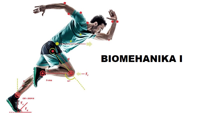 Biomehanika 1
